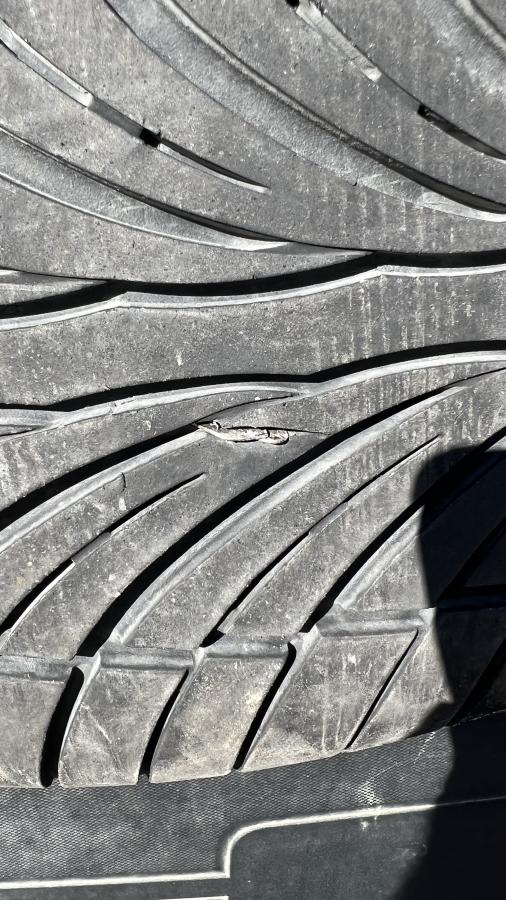 Click image for larger version

Name:	B753EE8C-E986-4A69-80B6-2263BD141C58.jpeg
Views:	94
Size:	115.3 KB
ID:	25967