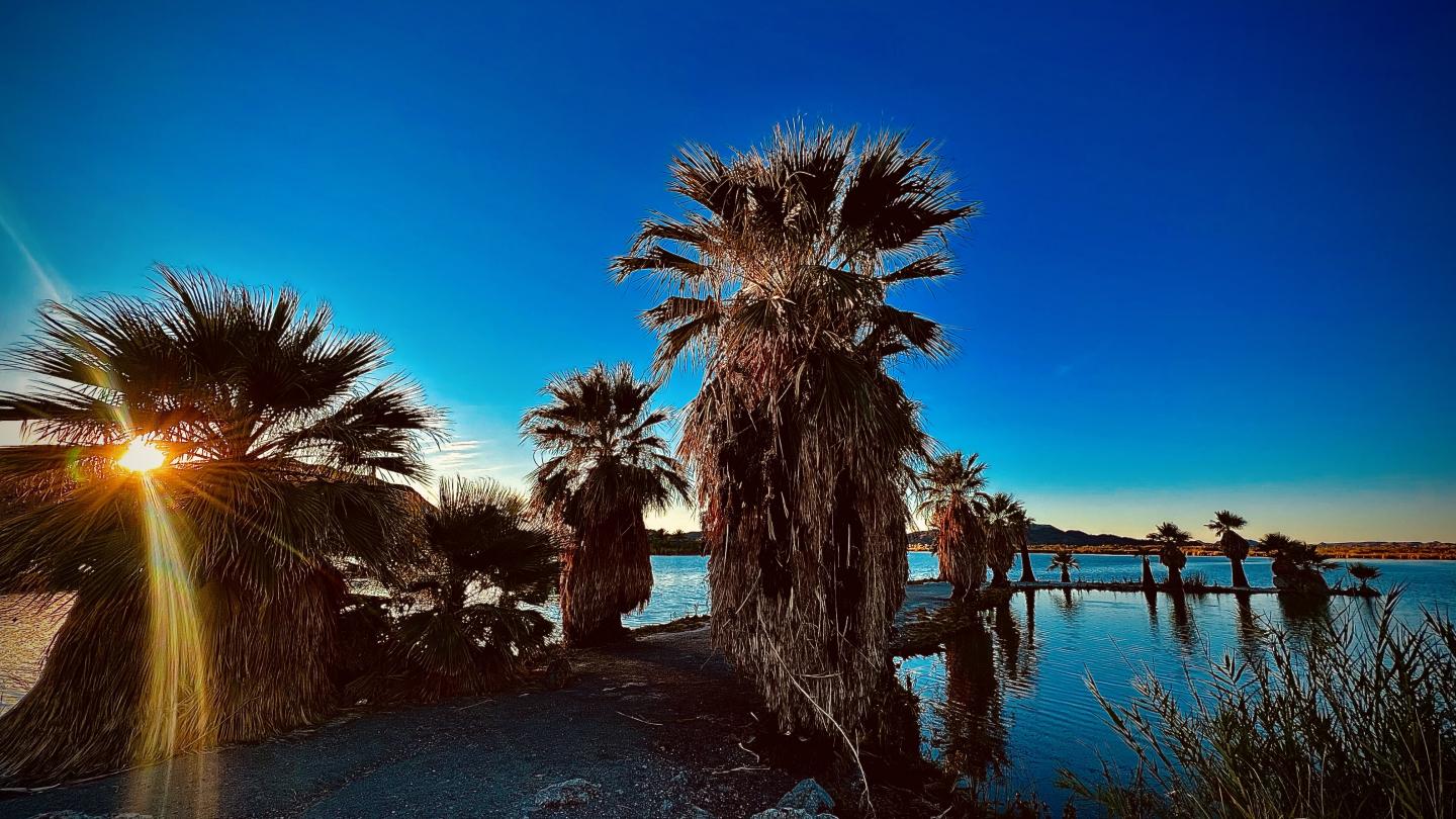 Click image for larger version

Name:	B34C42E5-8BB7-4F67-A67A-EF0F3452674B.jpeg
Views:	91
Size:	213.7 KB
ID:	25977