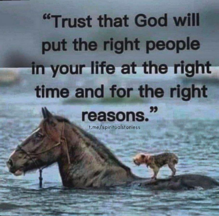 Click image for larger version

Name:	F68AAA33-3DBE-4E03-AEC2-3EA0BD643097.jpeg
Views:	101
Size:	90.2 KB
ID:	26175