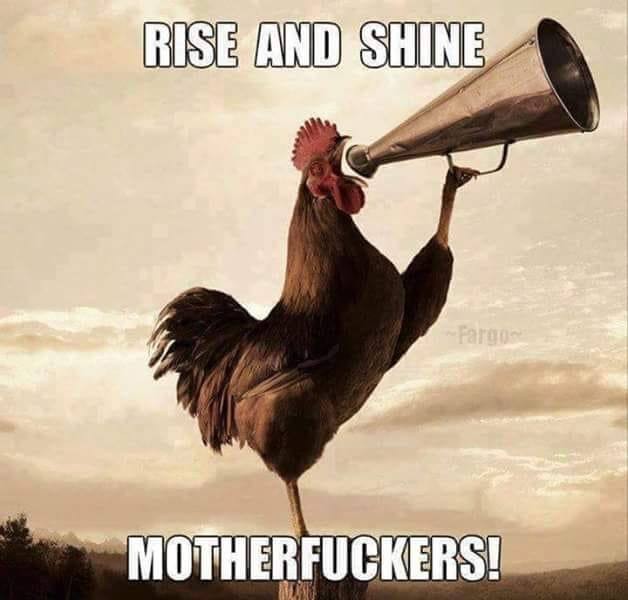 Click image for larger version

Name:	C4FC80A3-A3C8-46D0-A6F1-CD57D575F0E8.jpeg
Views:	104
Size:	51.8 KB
ID:	26229