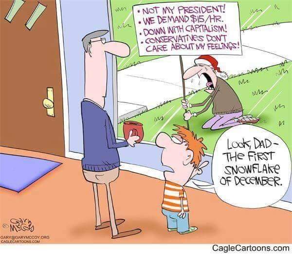 Click image for larger version

Name:	FB_IMG_1670410879404.jpg
Views:	101
Size:	72.3 KB
ID:	26270