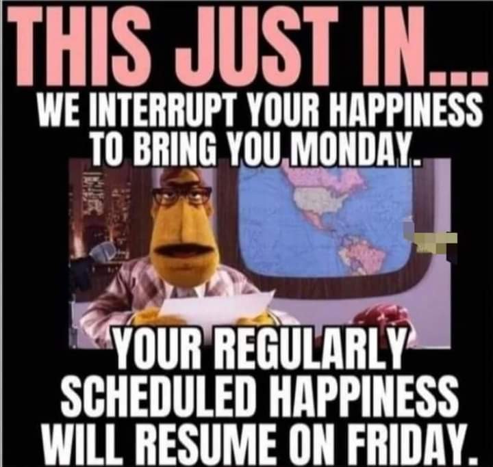 Click image for larger version

Name:	FB_IMG_1670853621857.jpg
Views:	47
Size:	81.2 KB
ID:	26345