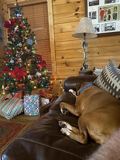 Click image for larger version

Name:	264A8C9D-6A90-4729-8548-9BA5FB1D6934.jpeg
Views:	135
Size:	116.0 KB
ID:	26536