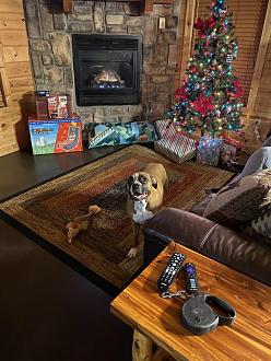 Click image for larger version

Name:	BE00AFAD-52DA-4199-A4DA-53DC5152531E.jpeg
Views:	161
Size:	118.7 KB
ID:	26535