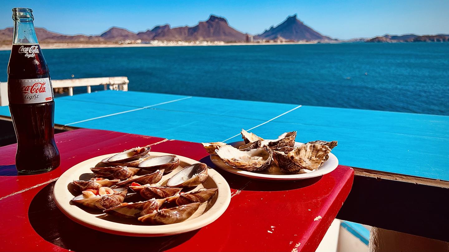 Click image for larger version

Name:	415BE27F-D33F-462B-AD9A-2FC2F566F0FD.jpeg
Views:	79
Size:	150.1 KB
ID:	26568