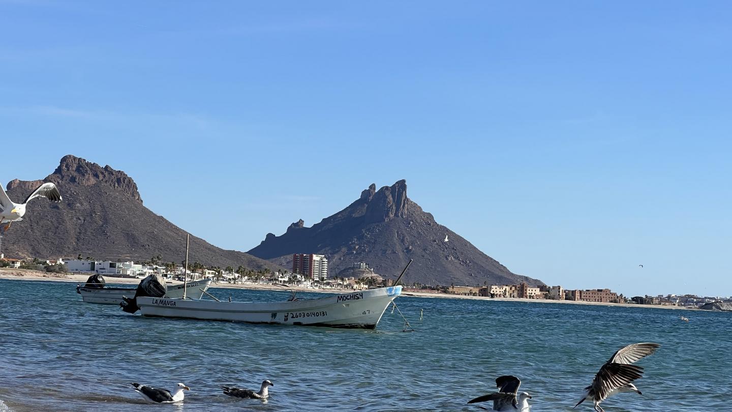 Click image for larger version

Name:	1A89AA3C-1B5D-4257-84A4-FF7024AEE4E2.jpeg
Views:	84
Size:	138.6 KB
ID:	26569