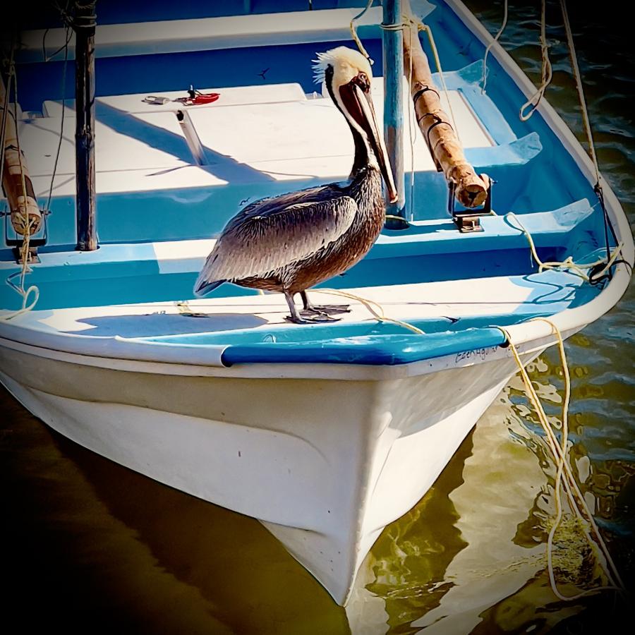 Click image for larger version

Name:	6A5D0E70-D0C7-470C-AC55-27E8B9E22626.jpeg
Views:	81
Size:	117.8 KB
ID:	26573