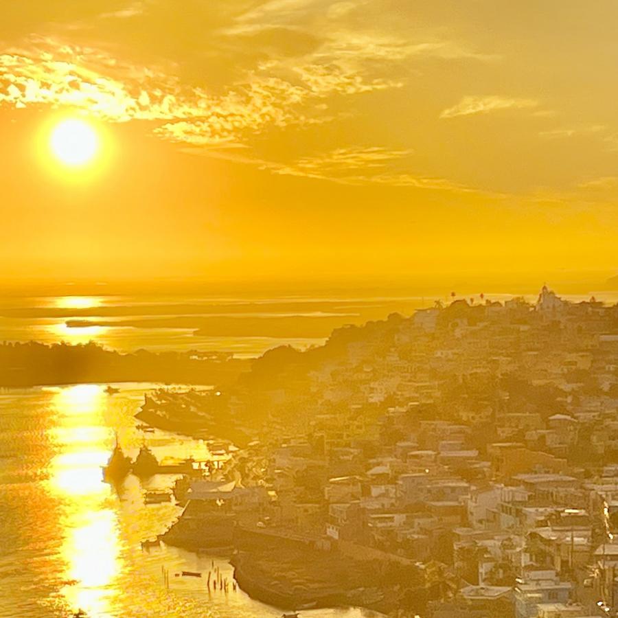 Click image for larger version

Name:	84EA0F46-71CA-4338-B3C3-87FE05A8D6F1.jpeg
Views:	81
Size:	81.9 KB
ID:	26579