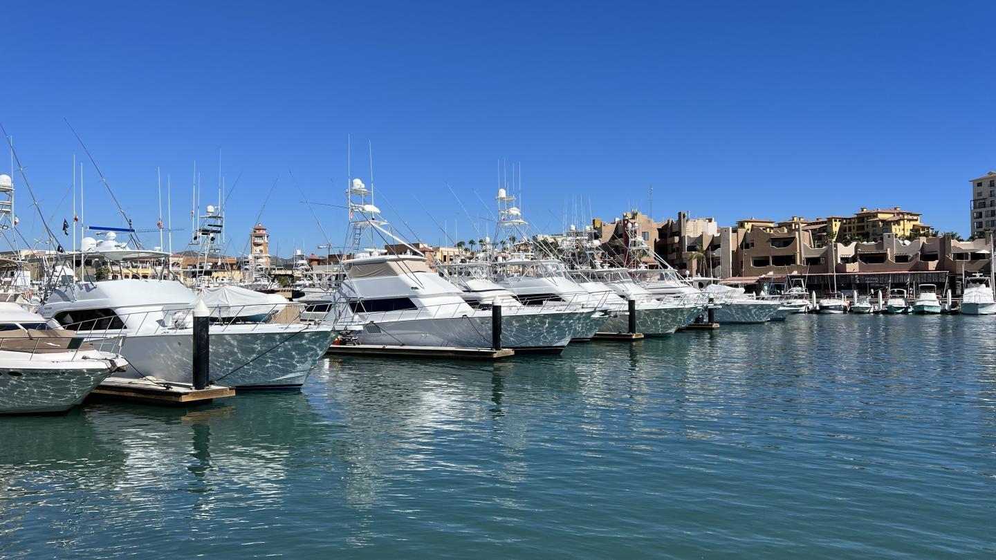 Click image for larger version

Name:	4BCA4C79-46B6-4F37-A90C-9AF20826252D.jpeg
Views:	87
Size:	179.7 KB
ID:	26594