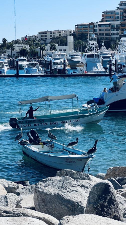 Click image for larger version

Name:	5715FC1B-517B-4BE2-B931-39B70D6E45B7.jpeg
Views:	102
Size:	124.5 KB
ID:	26600