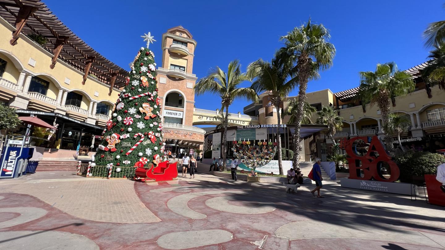 Click image for larger version

Name:	513C0AC3-EE35-4E8E-BEE7-C17571CD5988.jpeg
Views:	94
Size:	236.0 KB
ID:	26602