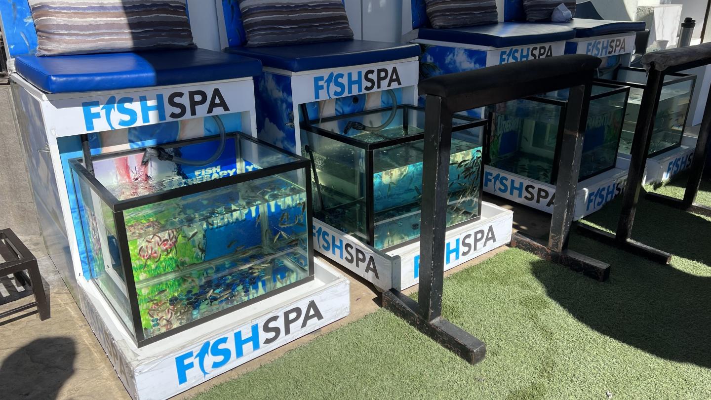 Click image for larger version

Name:	3ED09E42-64F9-406C-A464-C0E711269B70.jpeg
Views:	89
Size:	226.4 KB
ID:	26603