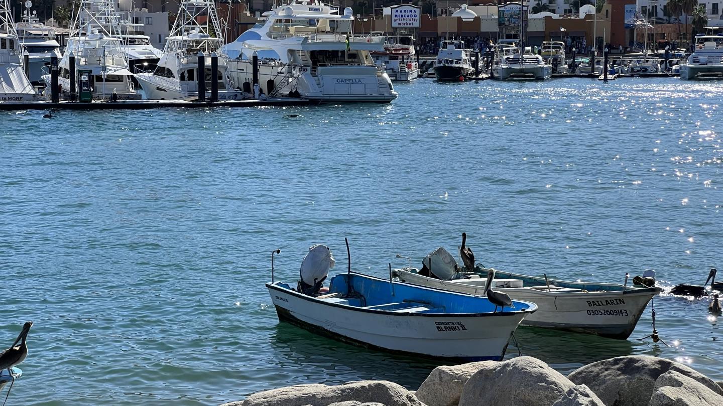 Click image for larger version

Name:	107FD14F-4834-4417-917B-1F23B9067F58.jpeg
Views:	102
Size:	279.3 KB
ID:	26608