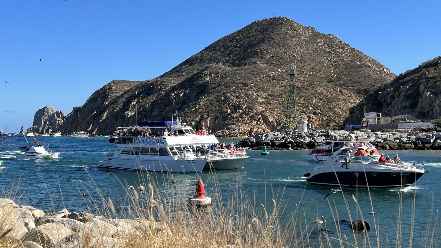 Click image for larger version

Name:	931C36E4-5B7F-474A-B7A6-A0FD977328B5.jpeg
Views:	104
Size:	230.6 KB
ID:	26609