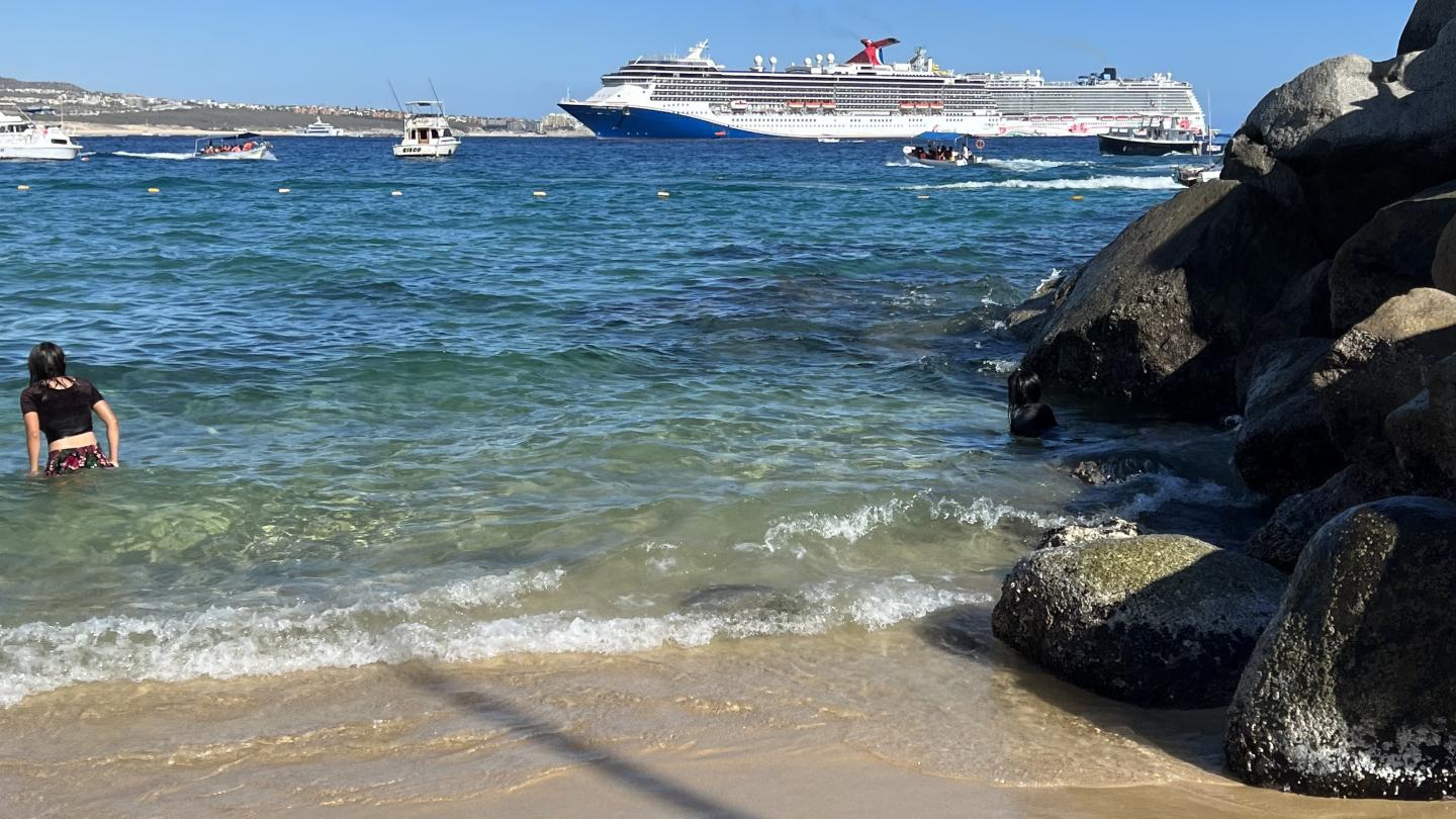 Click image for larger version

Name:	7D1CDF0D-4824-4633-8DEB-CACBE9641FF0.jpeg
Views:	116
Size:	201.9 KB
ID:	26616