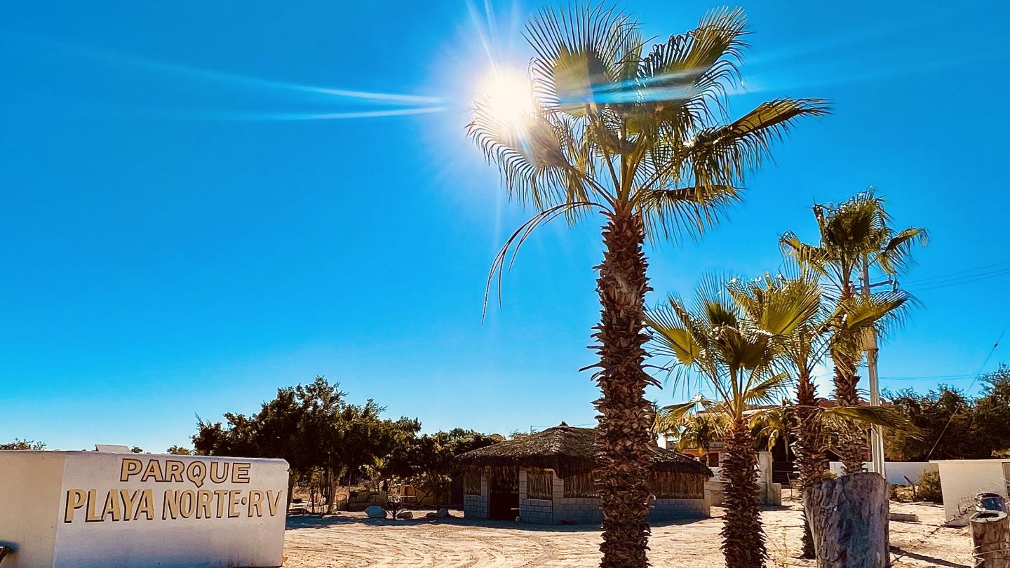 Click image for larger version  Name:	EFAB5F58-7967-436F-8741-10978C1CC72C.jpeg Views:	31 Size:	193.0 KB ID:	26723