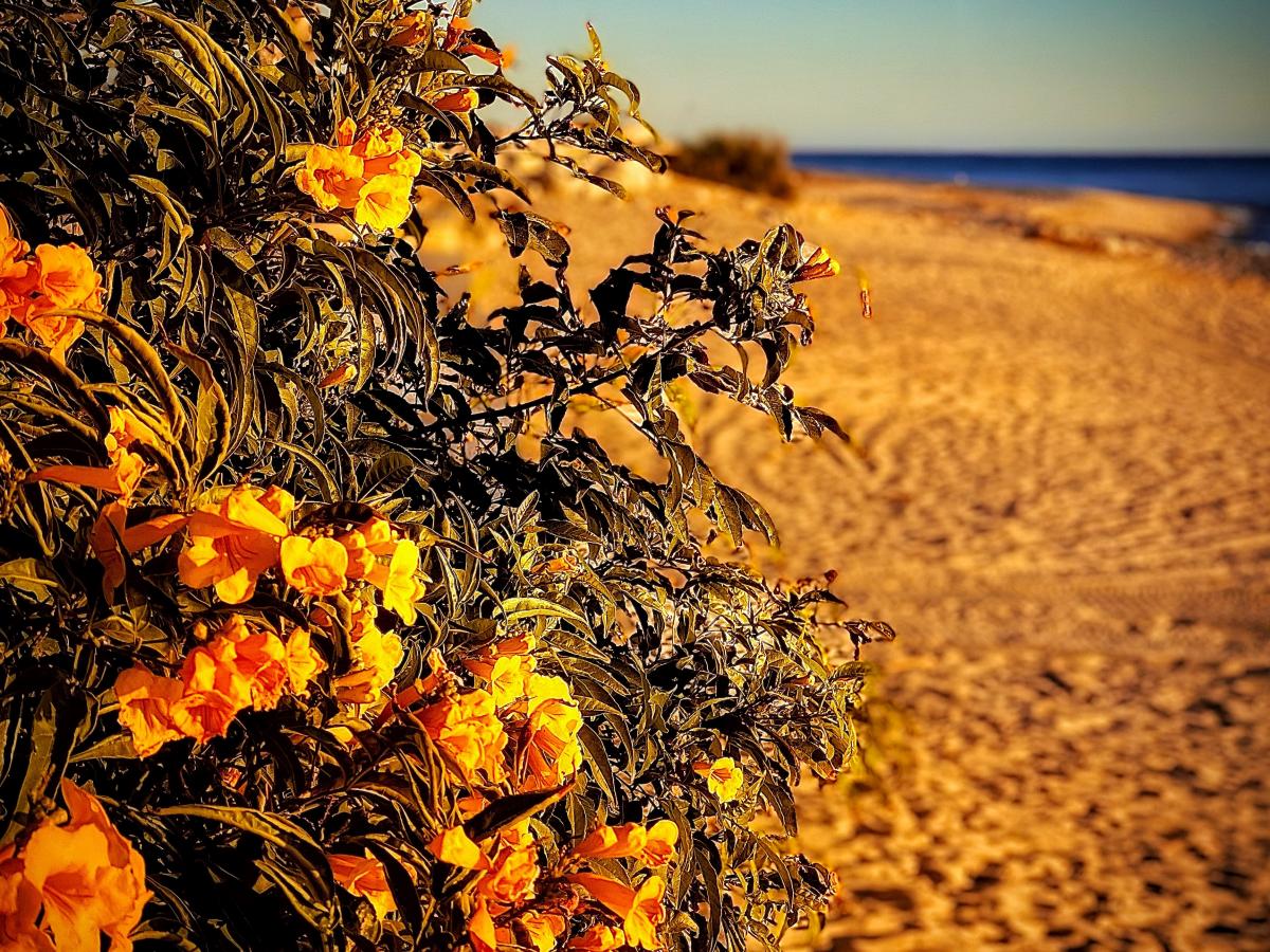 Click image for larger version

Name:	84D31B79-B6DF-4F8B-AC3A-593C67981818.jpeg
Views:	98
Size:	285.7 KB
ID:	26729