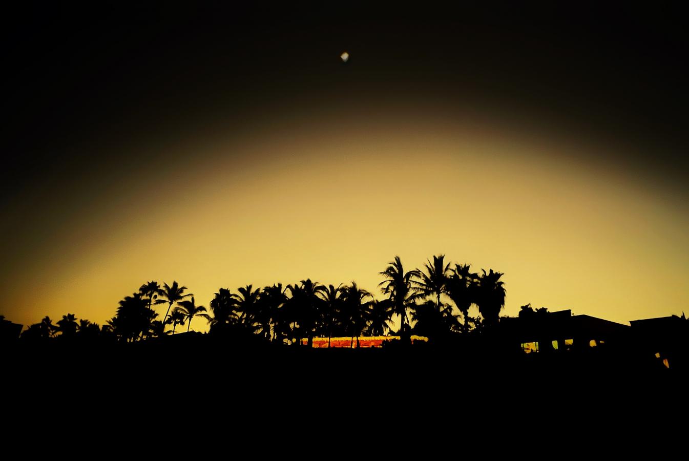 Click image for larger version

Name:	322CC0D7-0AD8-4E9D-BA47-80AF28BCCD4D.jpeg
Views:	107
Size:	57.0 KB
ID:	26734