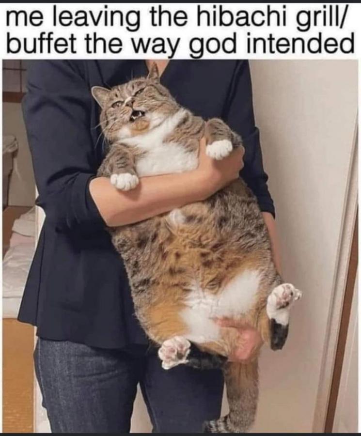 Click image for larger version

Name:	611E1117-0306-414D-8324-DB28507D56EC.jpeg
Views:	92
Size:	70.2 KB
ID:	26743