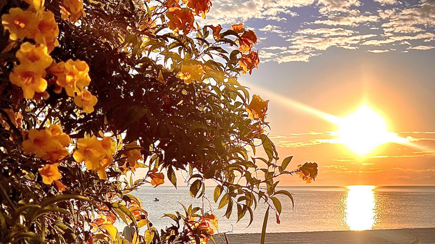 Click image for larger version

Name:	5D258236-13B3-4D87-AE5E-CFF839BAF5BE.jpeg
Views:	97
Size:	281.8 KB
ID:	26757