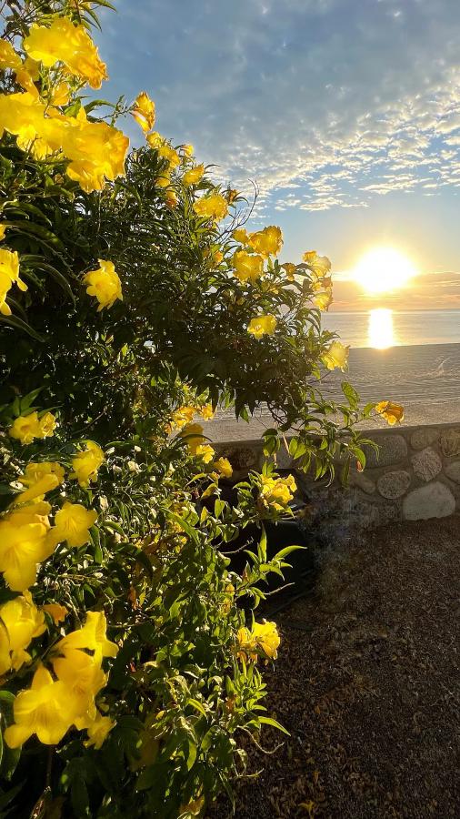 Click image for larger version

Name:	575CC956-5D25-447D-9E2F-F3570699DBD8.jpeg
Views:	95
Size:	119.0 KB
ID:	26758