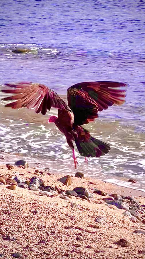 Click image for larger version

Name:	669B6844-50A7-49A4-BE06-36E7B85FB170.jpeg
Views:	101
Size:	121.6 KB
ID:	26759