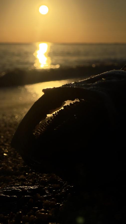 Click image for larger version

Name:	FD211AF9-D6FB-4699-BC79-4E24F6718017.jpeg
Views:	89
Size:	26.4 KB
ID:	26840