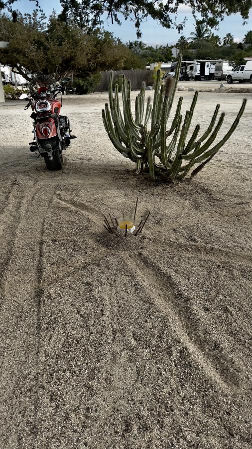 Click image for larger version

Name:	580E3F8D-973E-41D6-9DA1-4CF3BD012030.jpeg
Views:	84
Size:	168.3 KB
ID:	26846