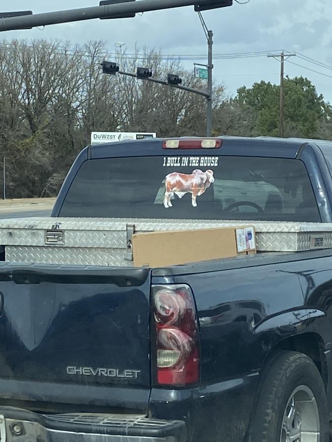 Click image for larger version

Name:	F48C4272-6FD9-4053-8CE6-DE71F741DEA0.jpeg
Views:	116
Size:	93.3 KB
ID:	26863