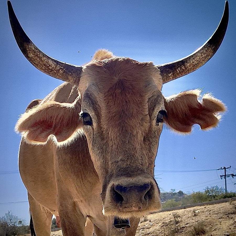 Click image for larger version

Name:	1DEFAF07-1C62-4651-9248-41A0FD51D0E1.jpeg
Views:	77
Size:	162.9 KB
ID:	26904