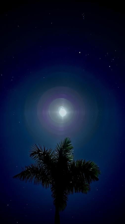 Click image for larger version

Name:	3CF5450F-6B49-4771-9598-09A1F48BB8FF.jpeg
Views:	72
Size:	21.6 KB
ID:	26906