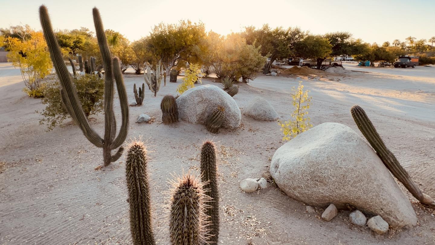 Click image for larger version

Name:	3BA1C6F7-342E-436A-AFC9-165F0D37E639.jpeg
Views:	113
Size:	230.1 KB
ID:	26916