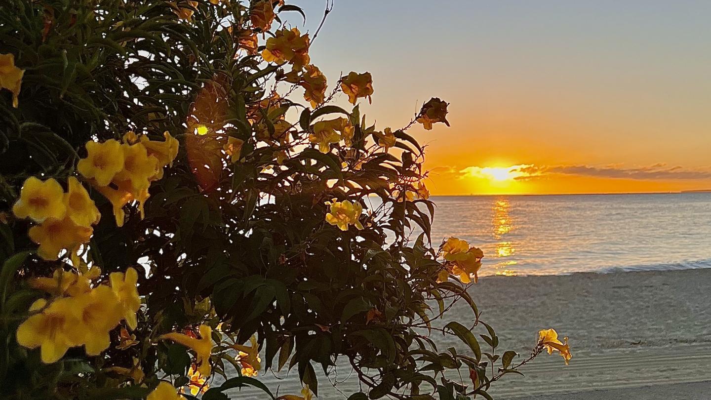 Click image for larger version

Name:	C194BBC0-BD78-429B-BB1F-053EA69B2B94.jpeg
Views:	120
Size:	205.9 KB
ID:	26917