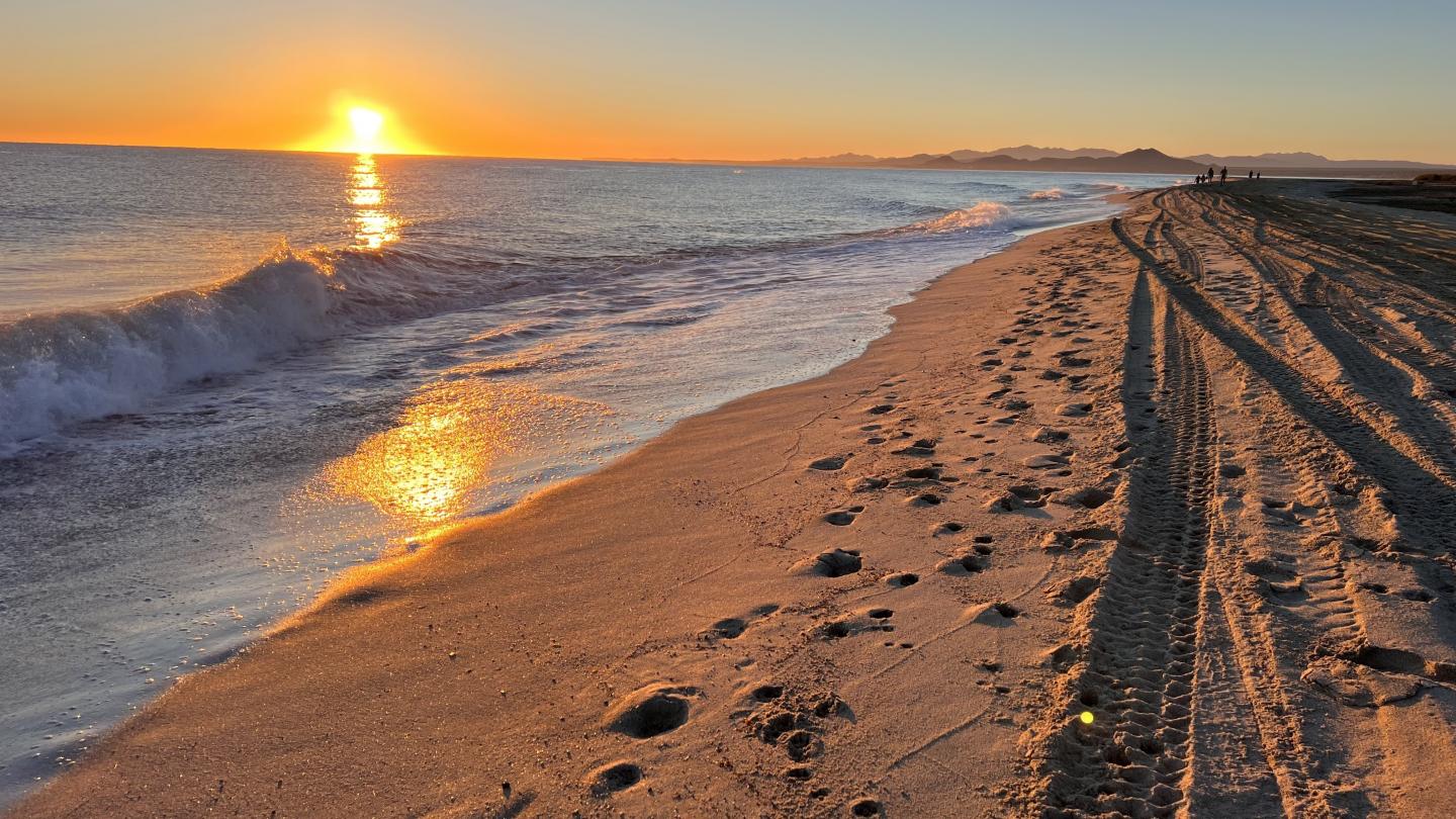 Click image for larger version

Name:	AE6F7368-97DF-474B-9678-720CC8BE2E49.jpeg
Views:	98
Size:	237.6 KB
ID:	26968