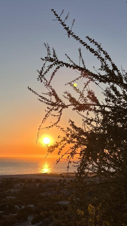 Click image for larger version

Name:	895DF6F3-3082-4E82-96CD-A1619D584027.jpeg
Views:	103
Size:	74.7 KB
ID:	26971