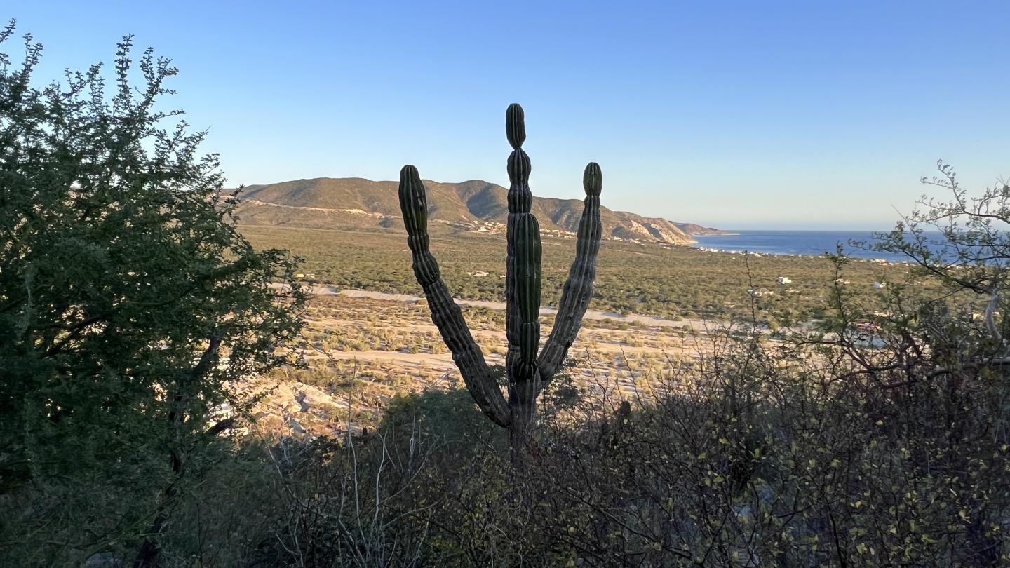 Click image for larger version

Name:	FB5189BF-19D0-401C-9518-EAA673B4ACD3.jpeg
Views:	106
Size:	215.5 KB
ID:	26972