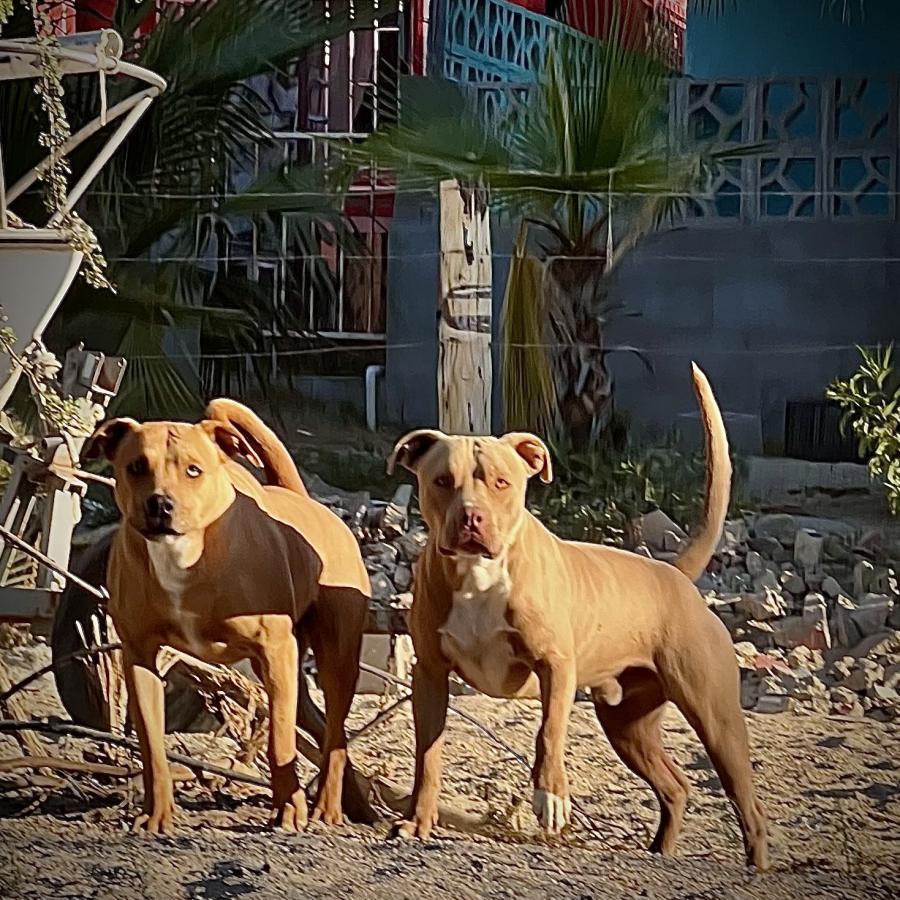 Click image for larger version

Name:	A9F4F537-02E9-41FC-9F2E-B8498A8644F8.jpeg
Views:	98
Size:	175.1 KB
ID:	26976