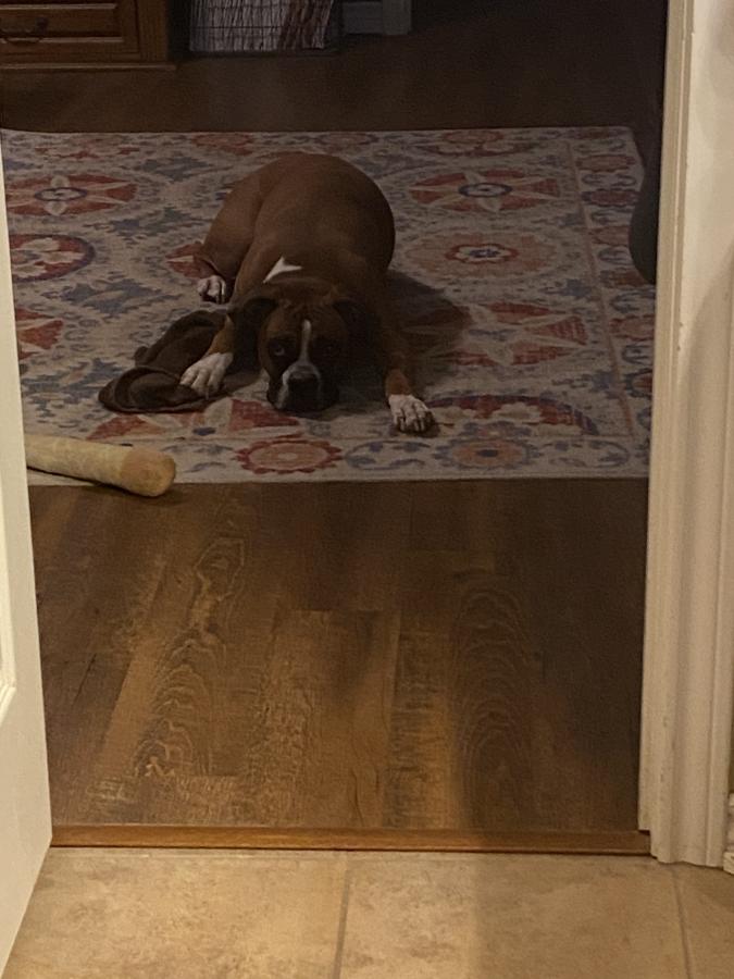 Click image for larger version

Name:	0E46B24A-242D-434C-8677-9419354B1CEC.jpeg
Views:	162
Size:	69.0 KB
ID:	27085