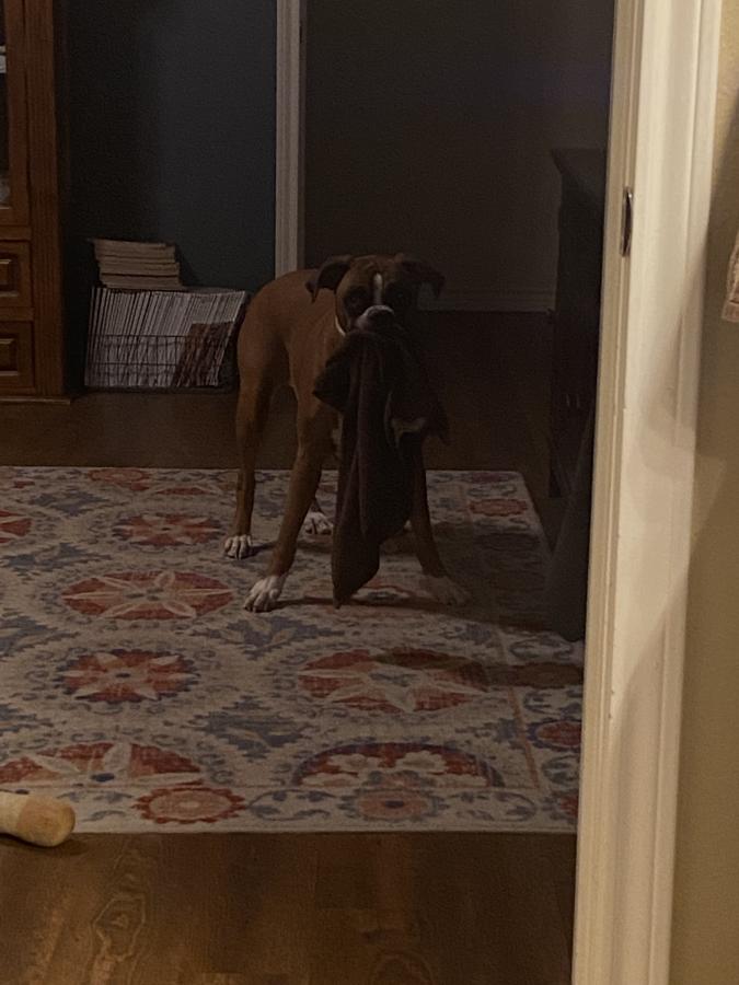 Click image for larger version

Name:	80CE4906-6DF2-4E58-A3EC-869FC21EC09F.jpeg
Views:	162
Size:	62.6 KB
ID:	27086