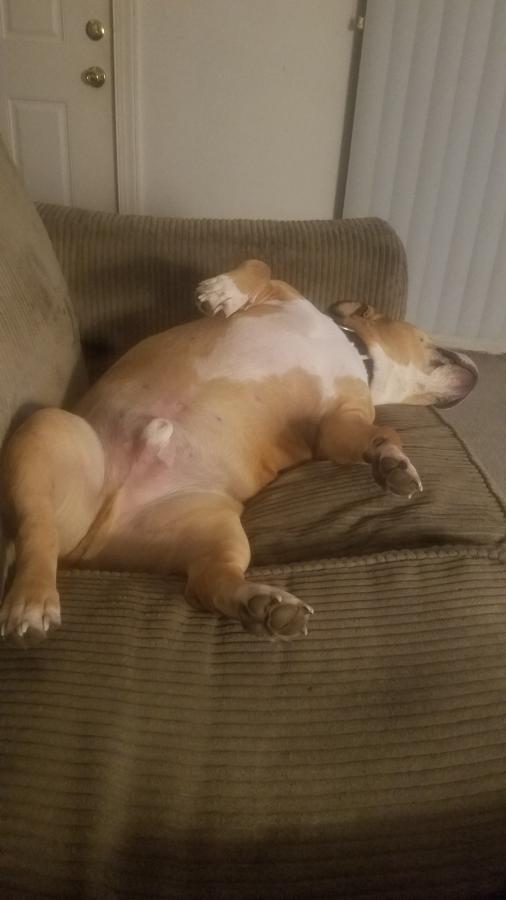 Click image for larger version

Name:	20230124_001246.jpg
Views:	155
Size:	36.8 KB
ID:	27091