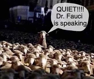 Click image for larger version

Name:	768DBD45-CE01-4159-A2CB-BBFC92A69710.jpeg
Views:	180
Size:	55.9 KB
ID:	27109