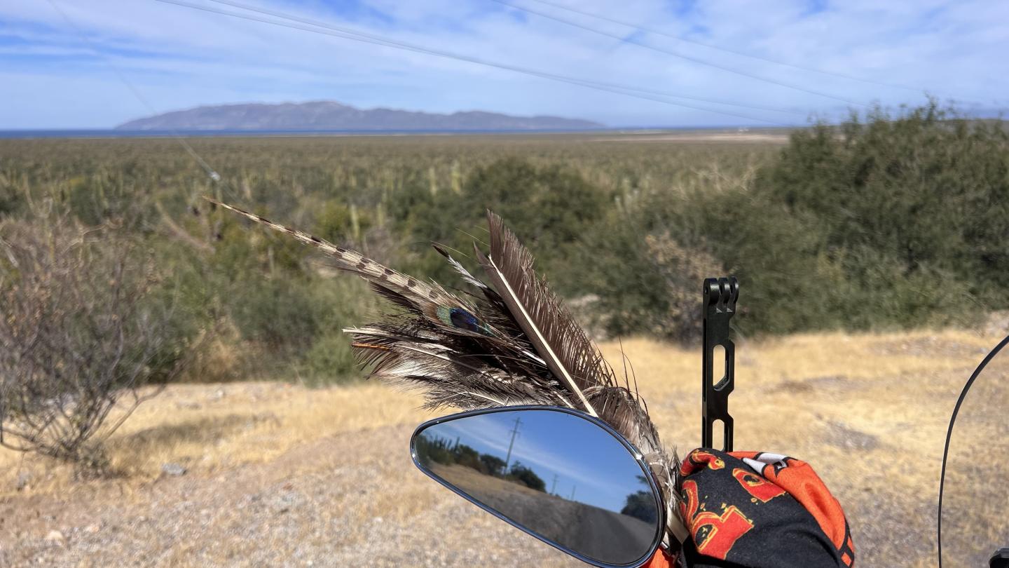 Click image for larger version

Name:	43660DC7-7E09-4B4F-A1B9-BFED1C1B7C31.jpeg
Views:	83
Size:	146.8 KB
ID:	27117