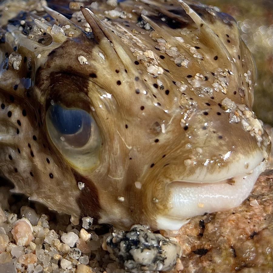 Click image for larger version

Name:	725BE12F-9429-4BCC-A65B-66FF56E5D091.jpeg
Views:	84
Size:	146.1 KB
ID:	27115