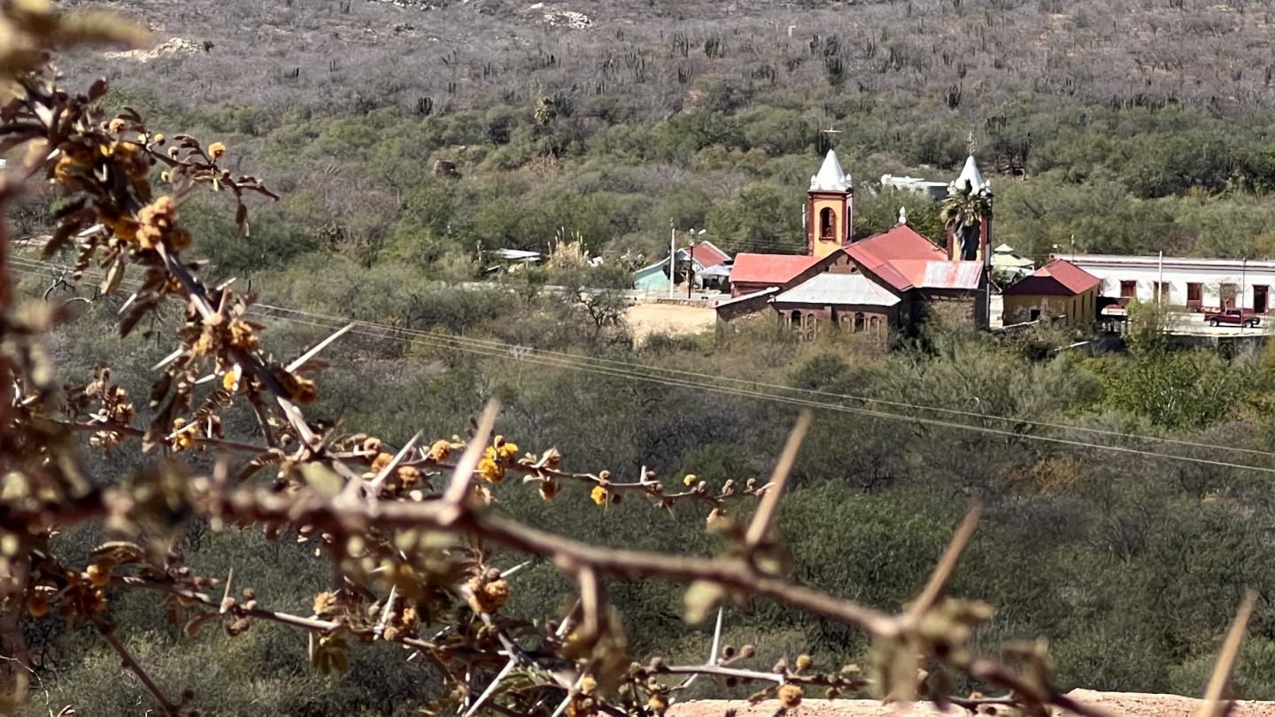 Click image for larger version

Name:	C48B15A0-9033-4053-9DC3-A277EE2D2130.jpeg
Views:	79
Size:	231.0 KB
ID:	27127