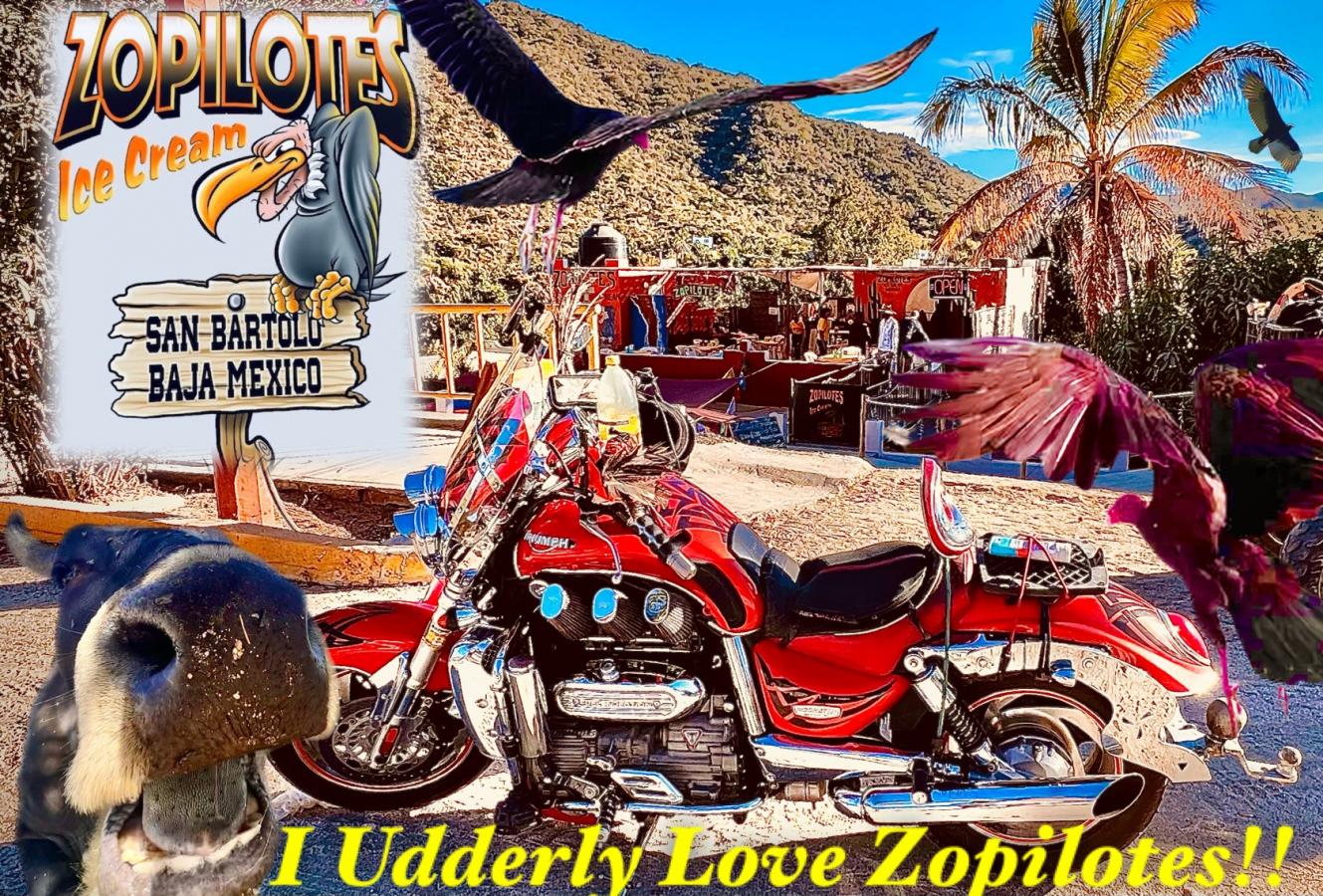 Click image for larger version  Name:	66964813-10DC-40DB-BCE9-27F17D56585F.jpeg Views:	2 Size:	353.3 KB ID:	27230