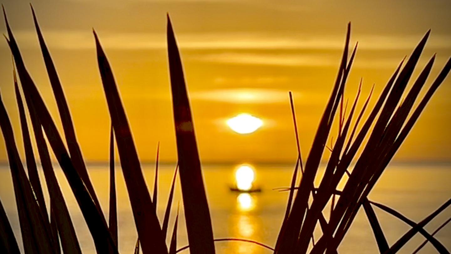 Click image for larger version

Name:	552478E3-39FB-491D-8CF5-034BD706FF83.jpeg
Views:	85
Size:	104.4 KB
ID:	27134