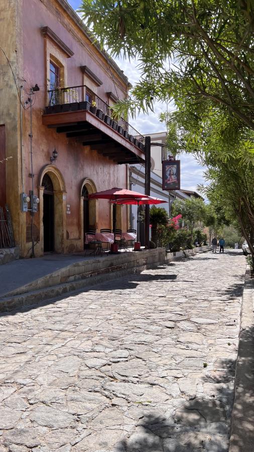 Click image for larger version

Name:	09DDBF95-AB0F-4E34-A252-C7074B06D112.jpeg
Views:	86
Size:	119.9 KB
ID:	27139