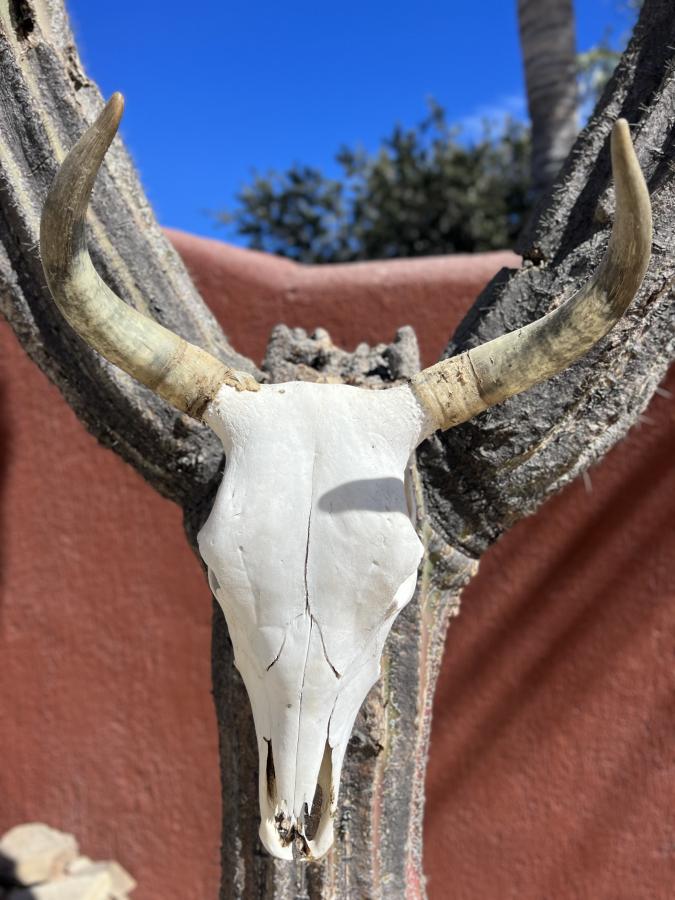 Click image for larger version

Name:	DF629C6E-F4B6-48B9-81C7-E9A5F9E3B232.jpeg
Views:	81
Size:	82.1 KB
ID:	27142