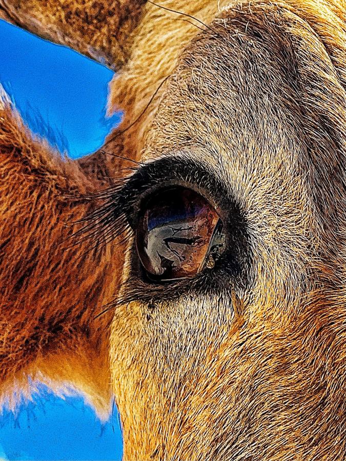 Click image for larger version

Name:	E52B1E31-F7E1-4193-99CE-A1073F63E6B8.jpeg
Views:	81
Size:	245.3 KB
ID:	27143