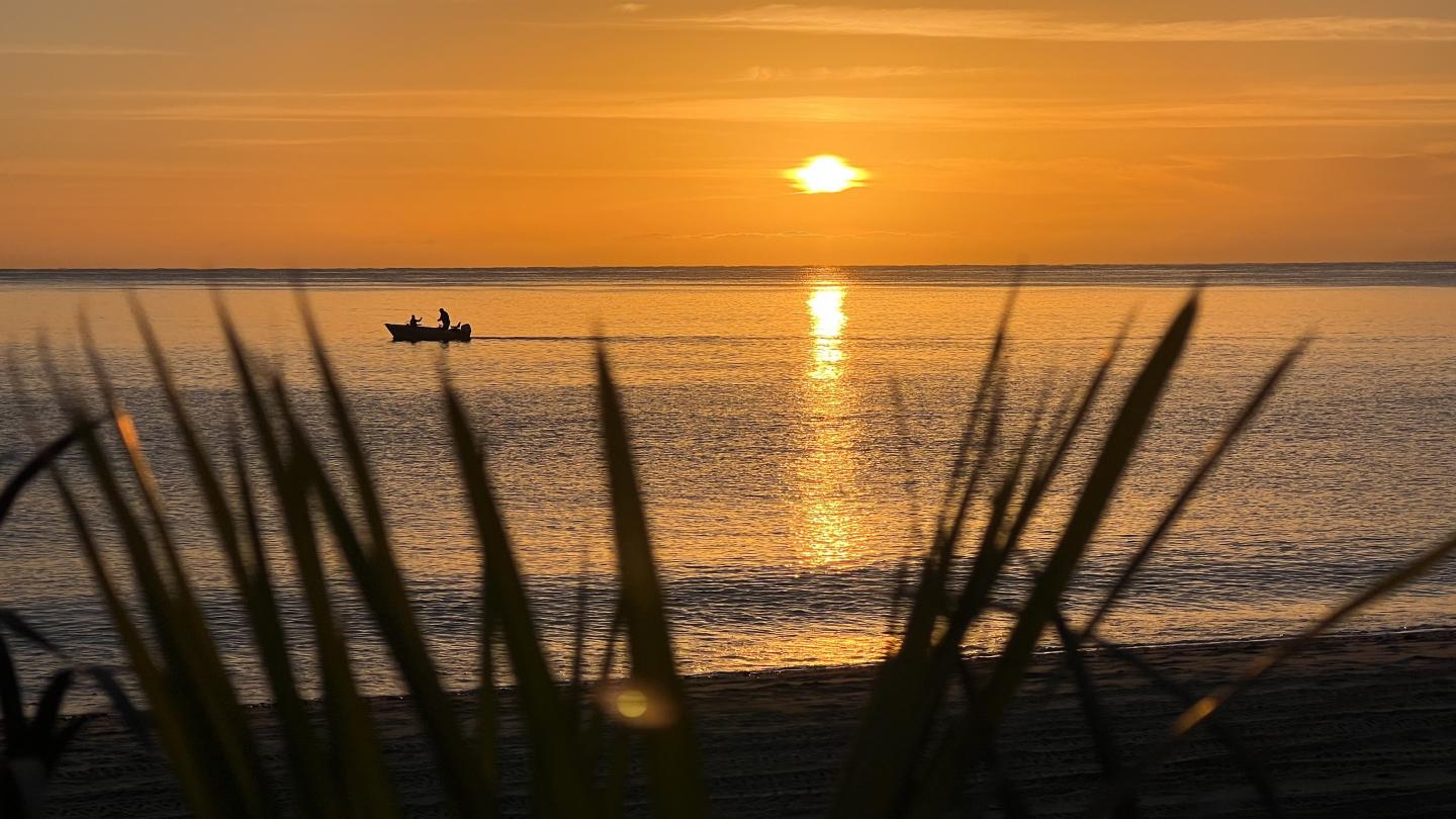 Click image for larger version  Name:	AD3C2277-D6BE-4515-AA69-0B1C08113669.jpeg Views:	2 Size:	157.4 KB ID:	27227